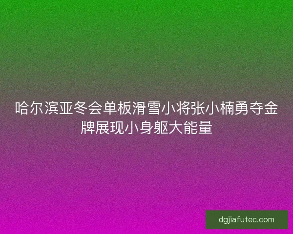 哈尔滨亚冬会单板滑雪小将张小楠勇夺金牌展现小身躯大能量